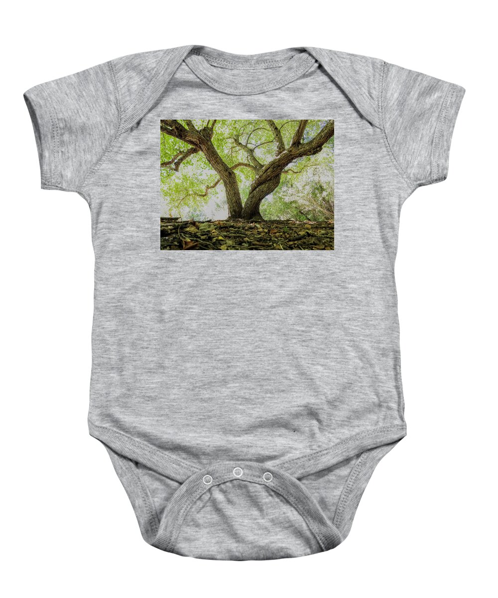 Tree Baby Onesie featuring the photograph Twisted Tree by Amanda R Wright