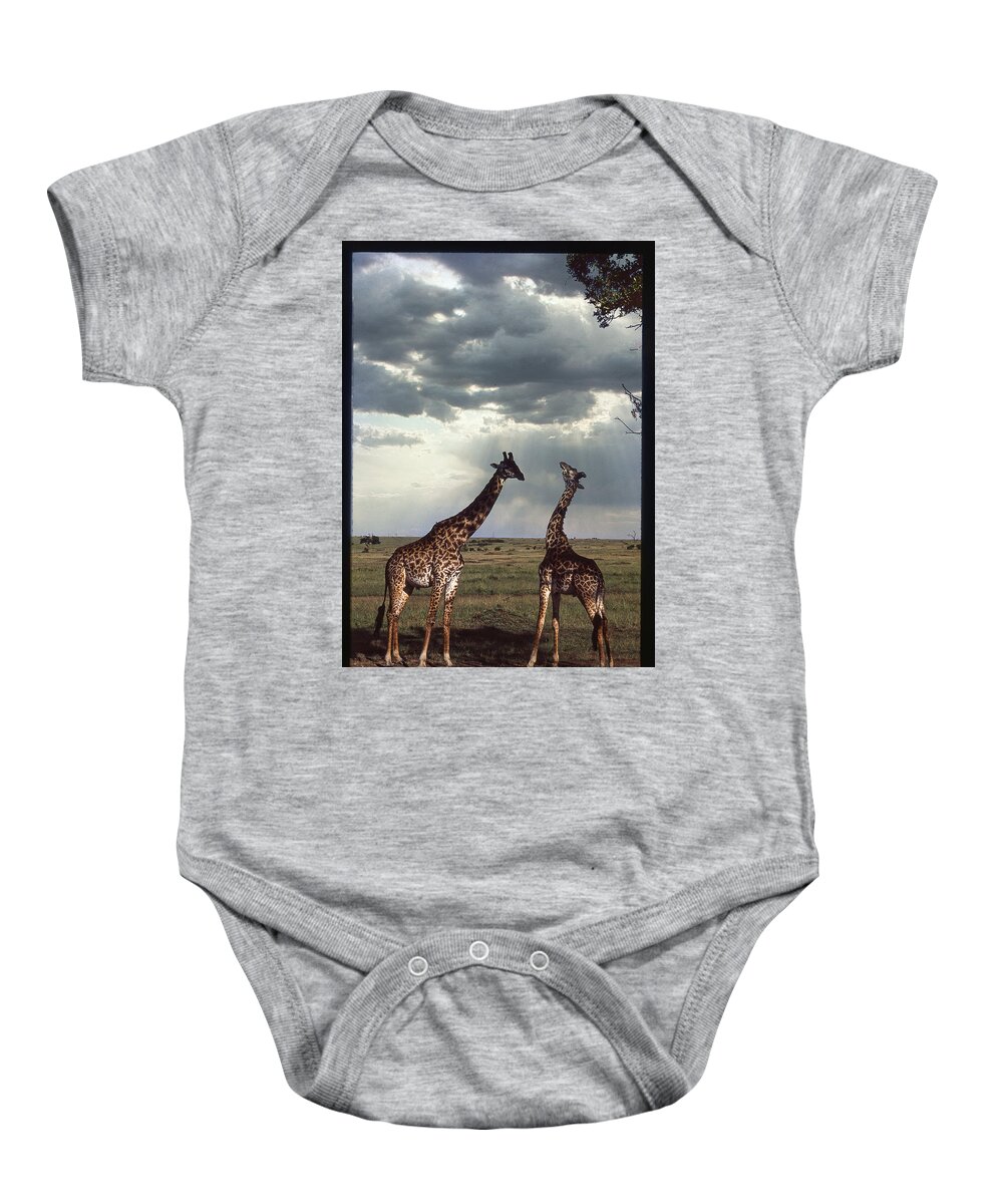 Africa Baby Onesie featuring the photograph Two Giraffes Chatting by Russel Considine