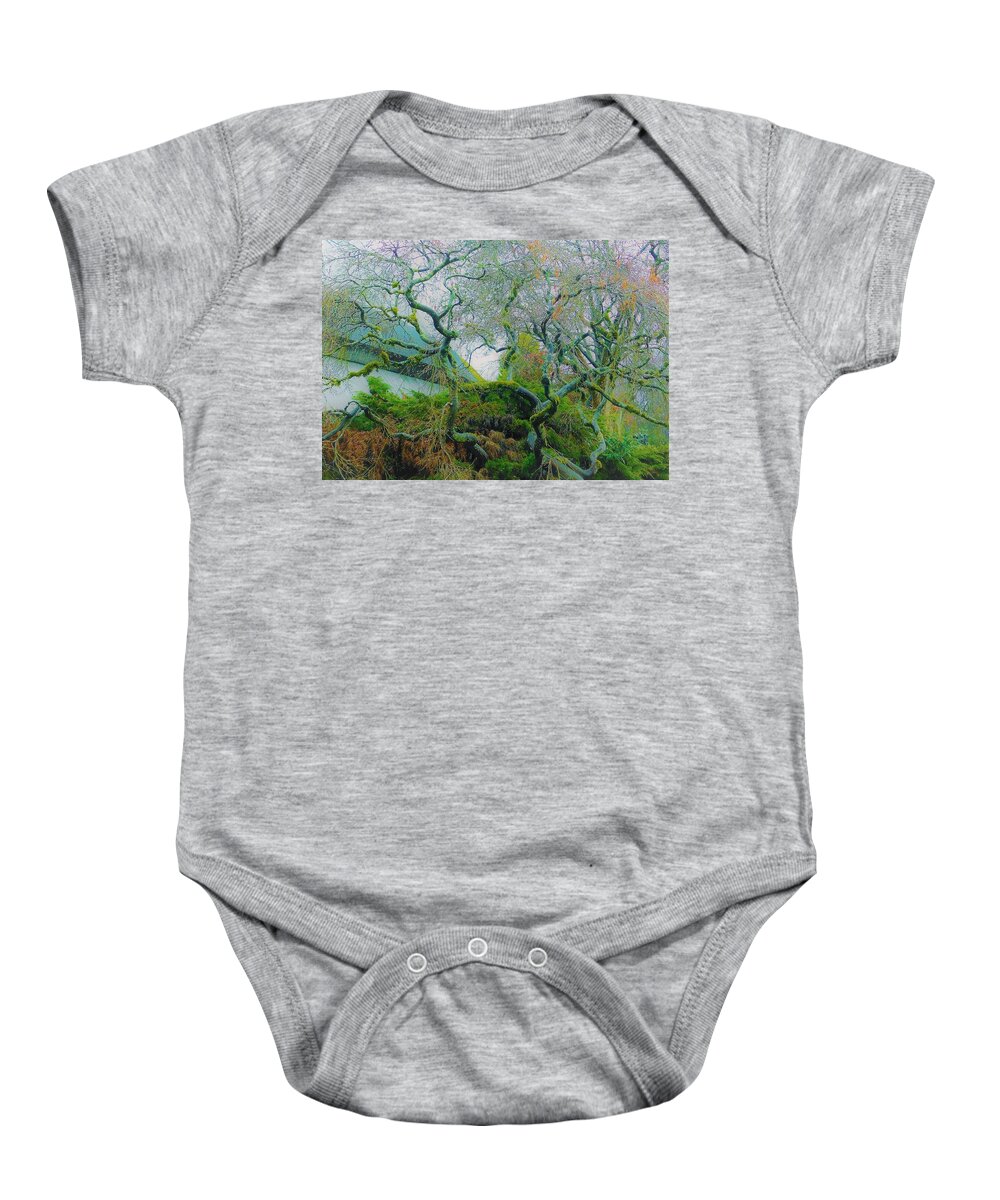 - Vancouver Bc Tree 3 Baby Onesie featuring the photograph - Vancouver BC Tree 3 by THERESA Nye