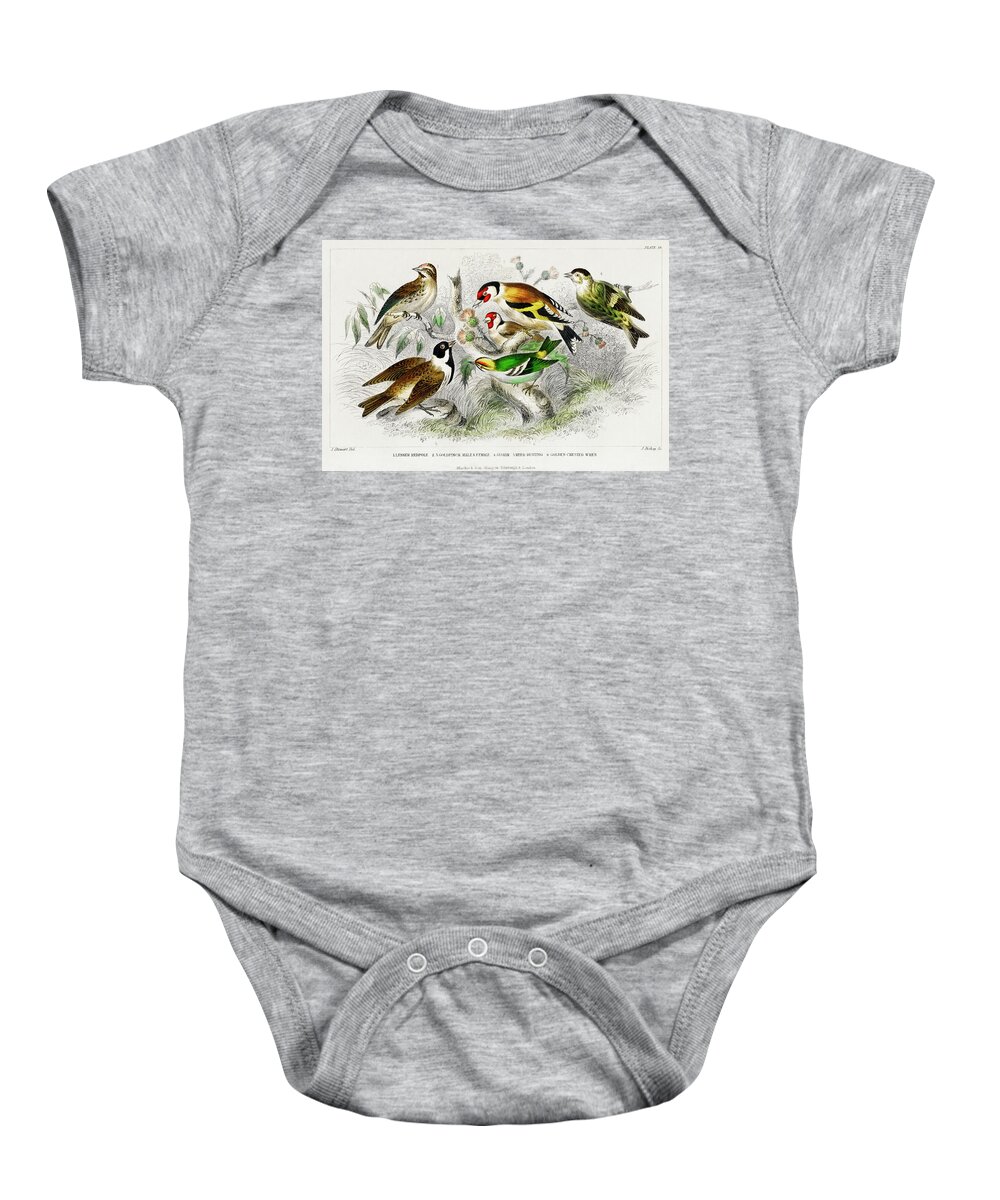 Birds Baby Onesie featuring the painting Various Birds by World Art Collective
