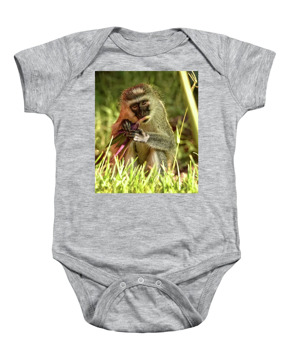 Africa Baby Onesie featuring the photograph Vervet Monkey in Kenya by Mitchell R Grosky