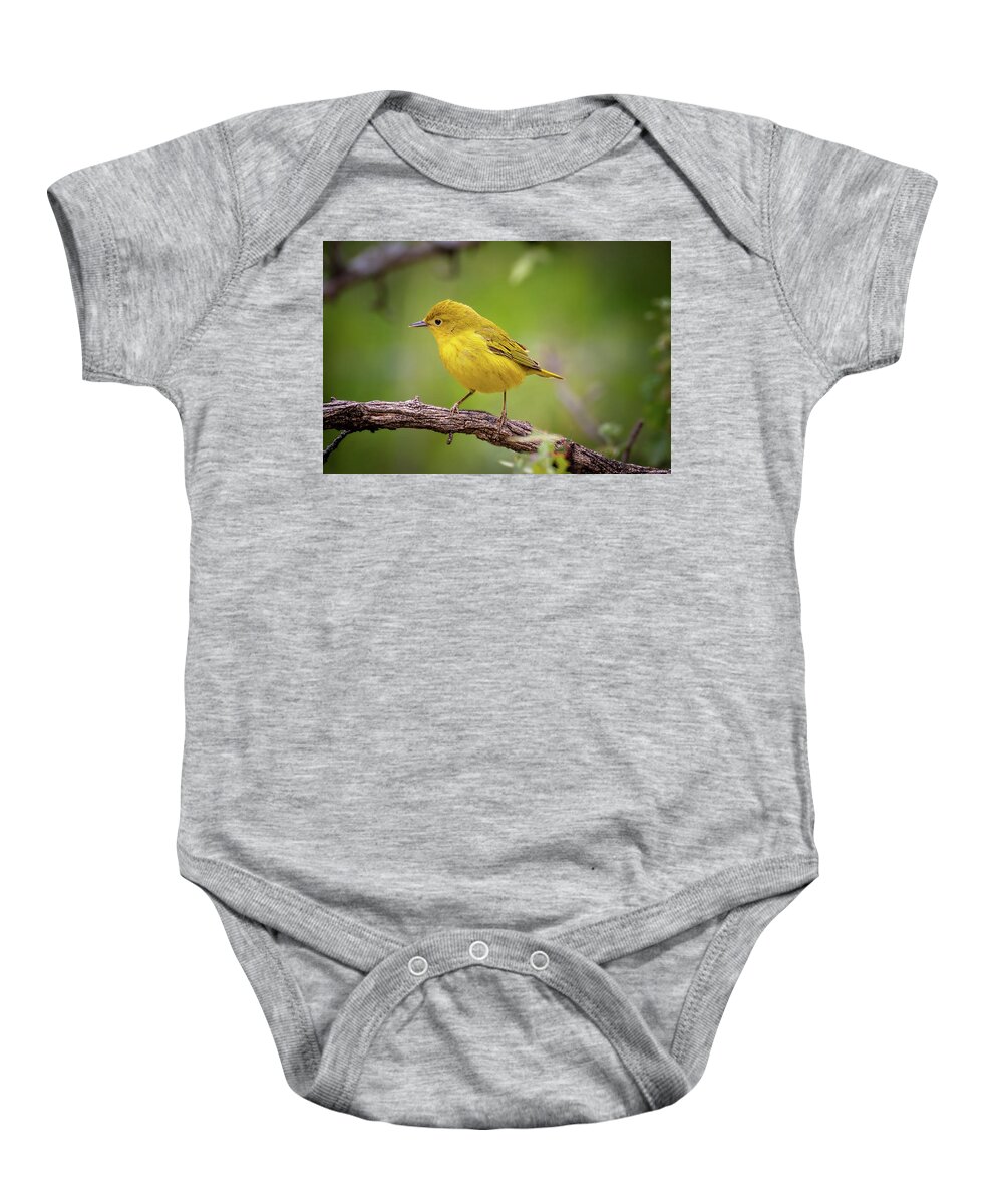 2018 Baby Onesie featuring the photograph Warbler by Erin K Images
