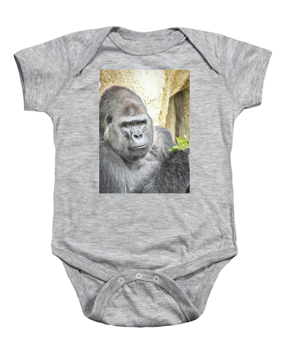 Gorilla Baby Onesie featuring the photograph Watchful silverback by Ed Stokes