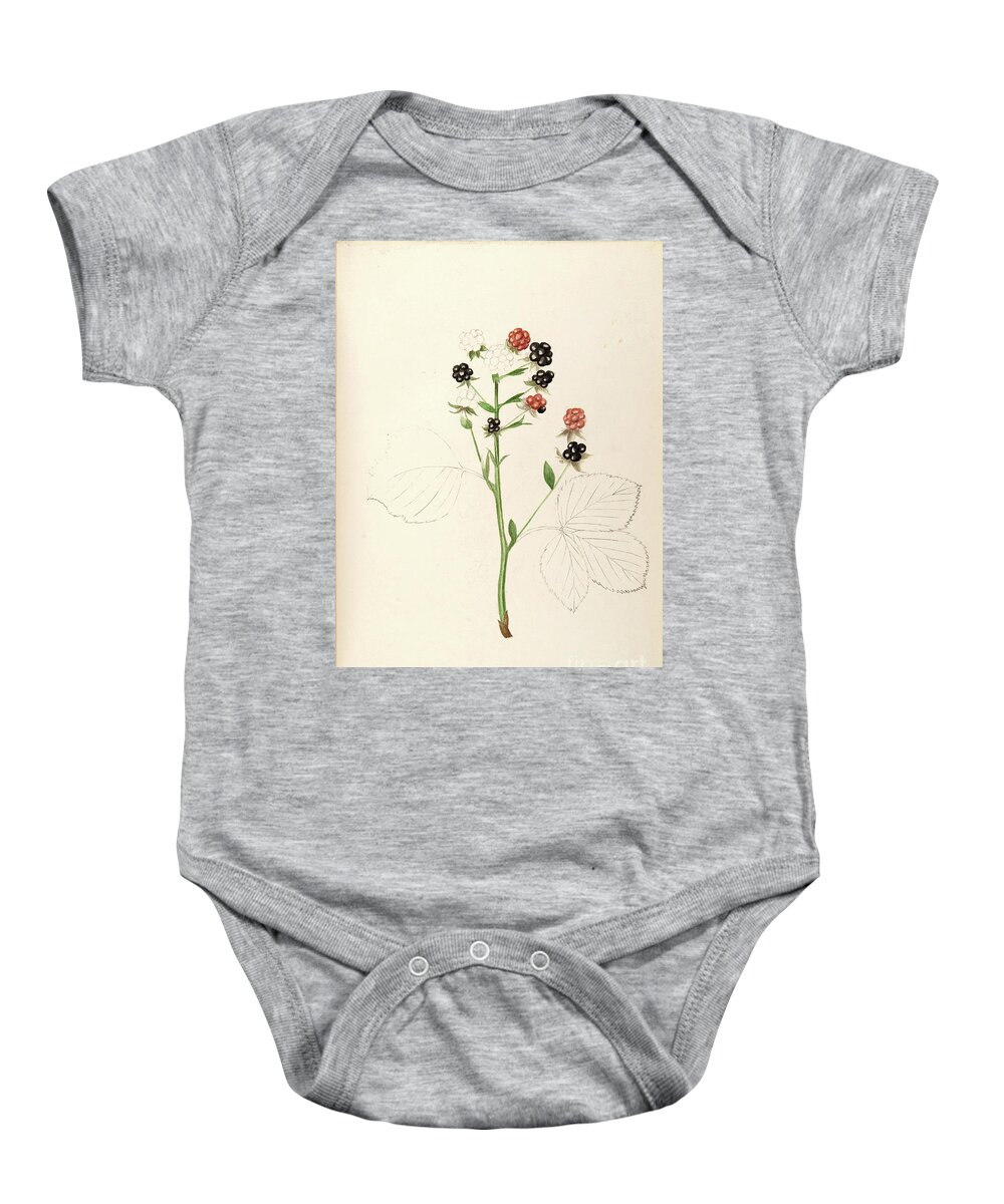Water-color Baby Onesie featuring the painting water-color sketches by Helen Sharp Vol 8 p24 by Botany