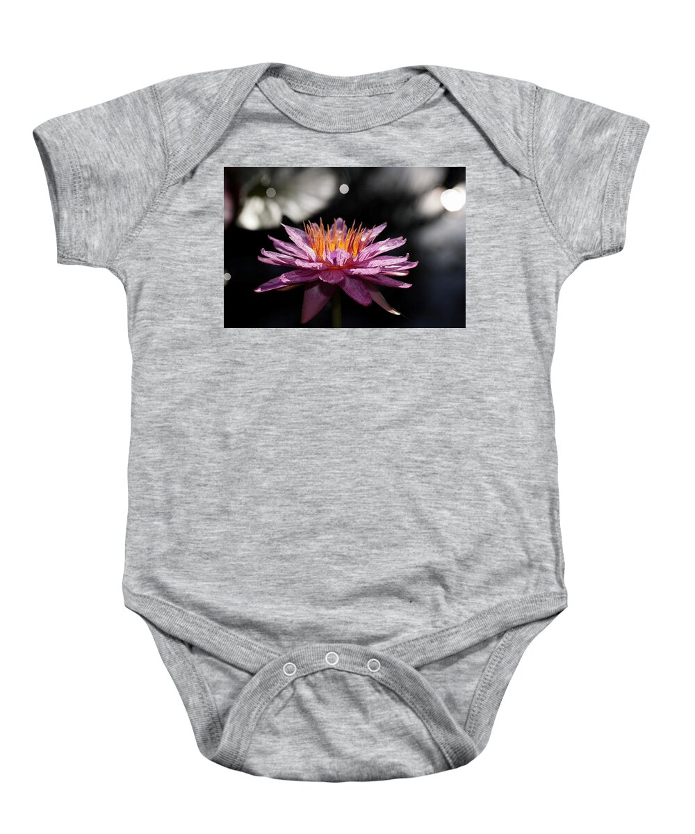 Water Lily Baby Onesie featuring the photograph Water Lily in the Spotlight by Mingming Jiang