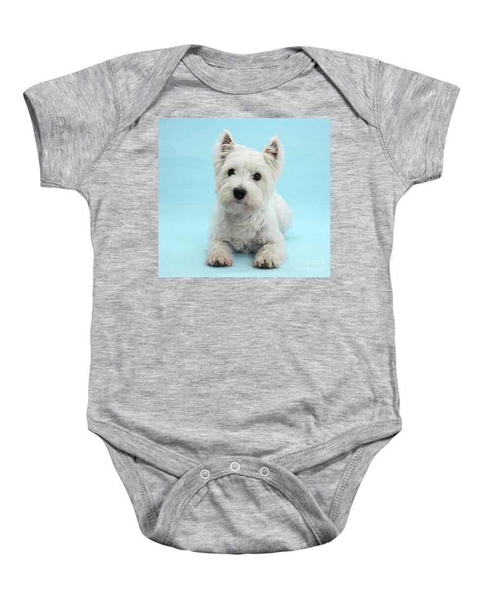 West Highland White Terrier Baby Onesie featuring the photograph Westie on Blue by Warren Photographic