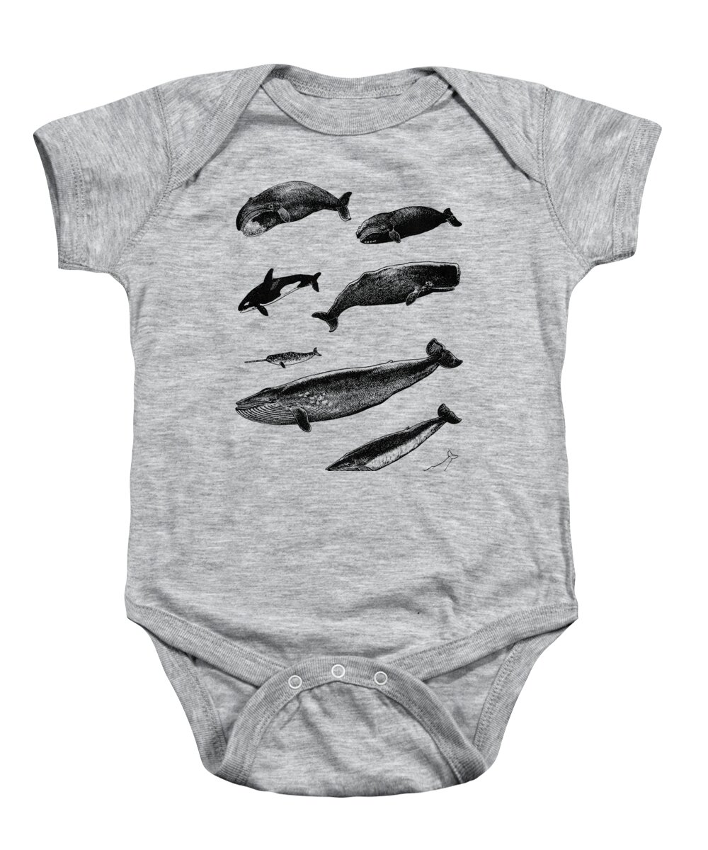 Whale Baby Onesie featuring the digital art Whale Chart by Madame Memento