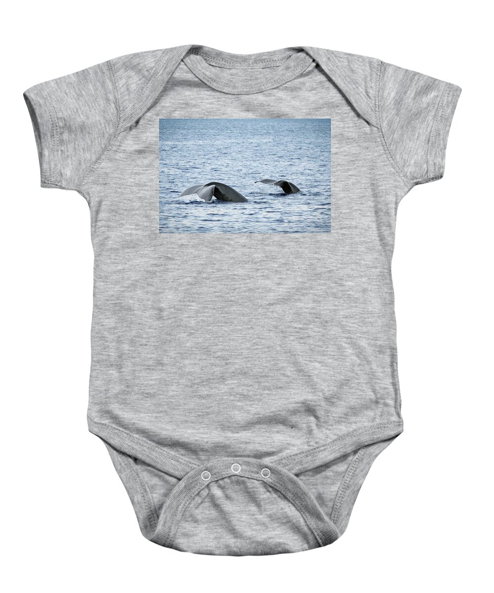 Hawai'i Baby Onesie featuring the photograph Whale's Tails by Jim Thompson
