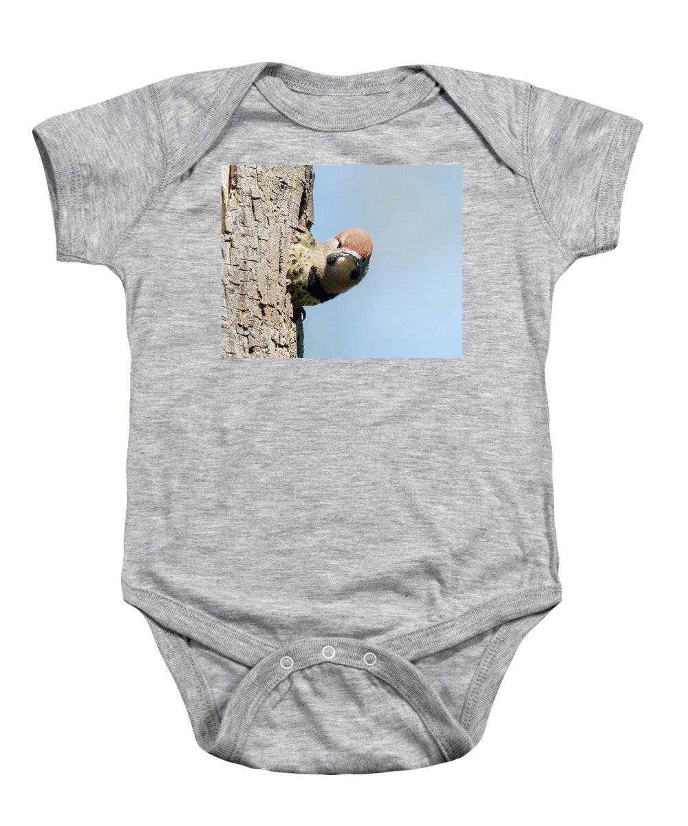 Woodpecker Baby Onesie featuring the photograph Where Is Mom by CR Courson