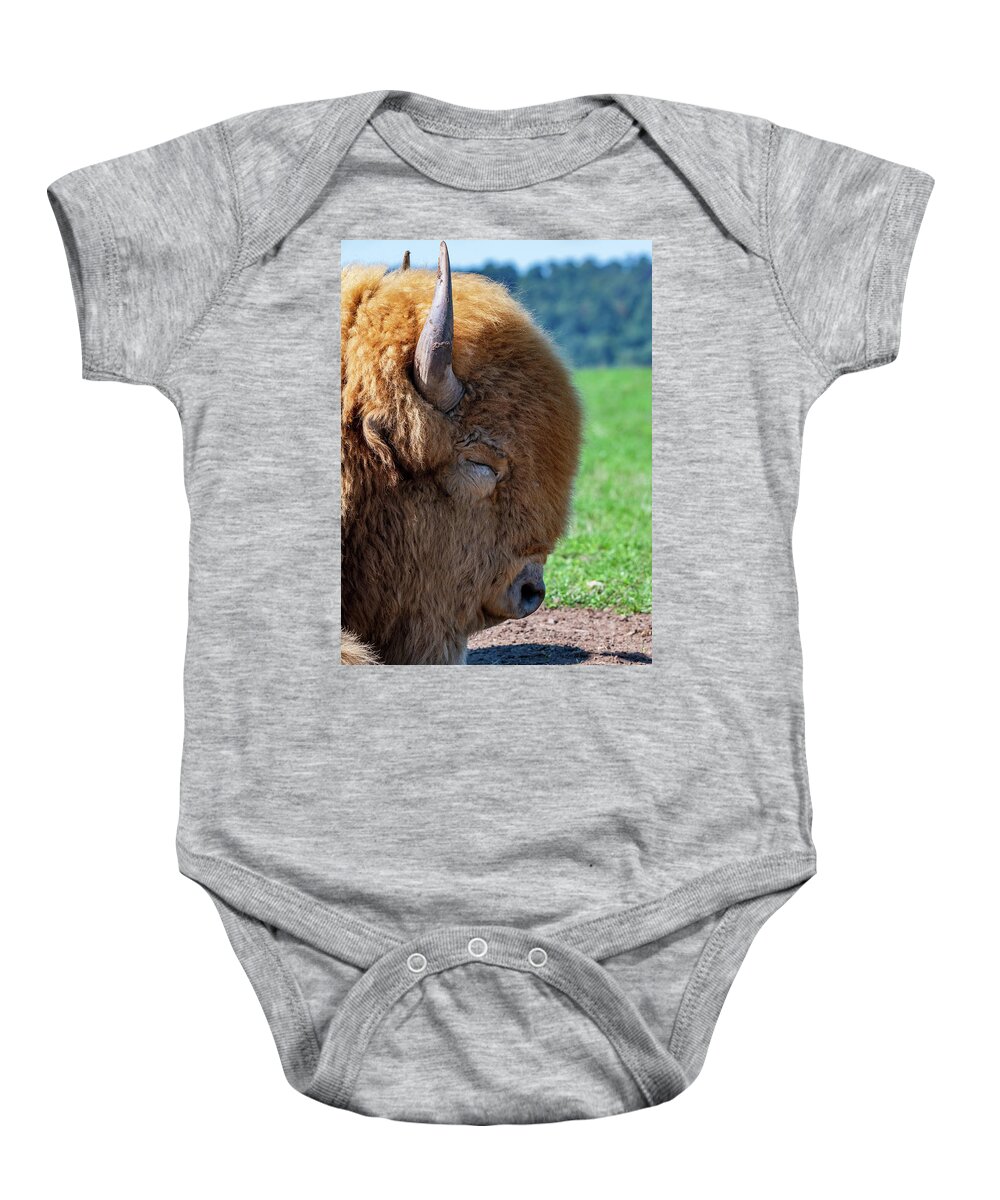 Nature Baby Onesie featuring the photograph White American Bison by Rose Guinther