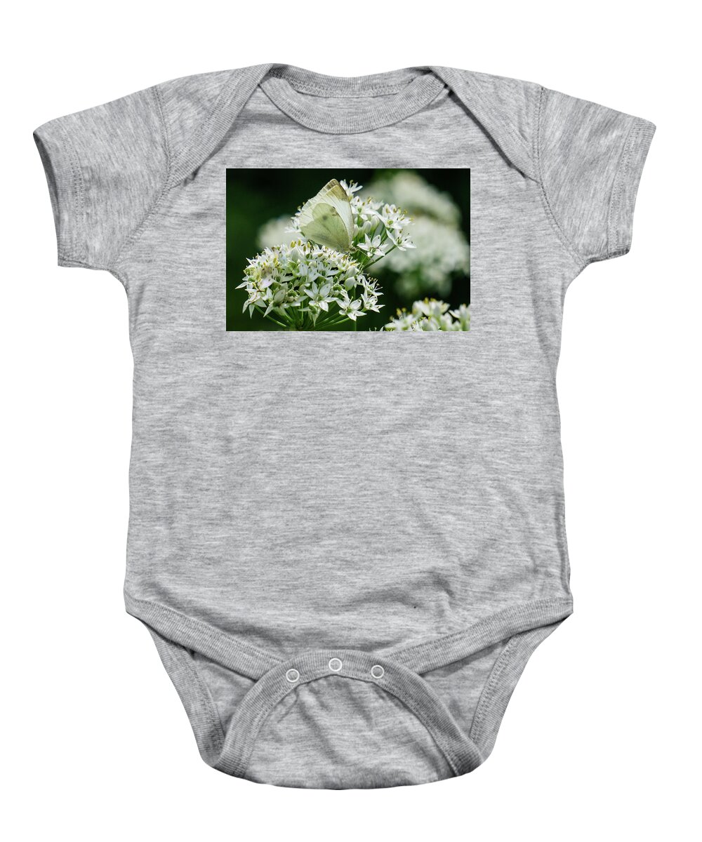 Cabbage White Baby Onesie featuring the photograph White on White by Tana Reiff