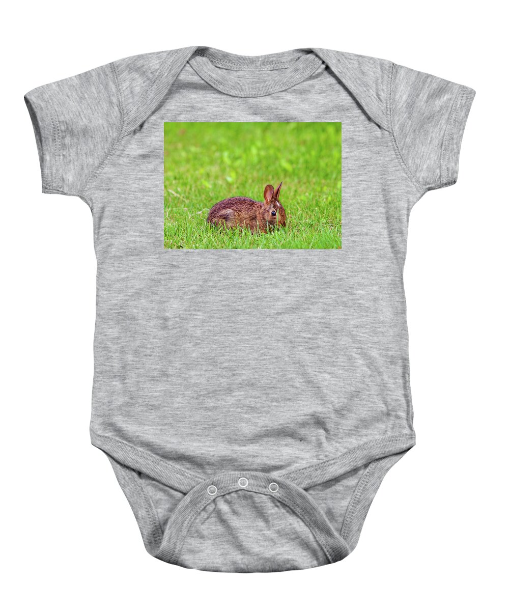 Wildlife Baby Onesie featuring the photograph Wildlife Photography - Spring Bunny by Amelia Pearn