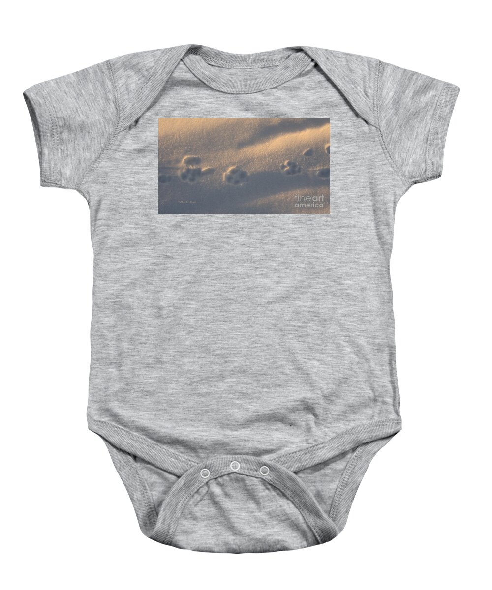 Snow Baby Onesie featuring the photograph Winter Morning Tracks by Kae Cheatham