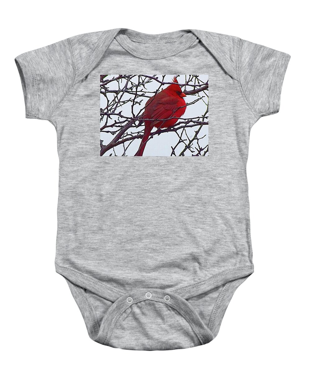 Redbird Baby Onesie featuring the mixed media Winter Red Bird, a cardinal in winter by Shelli Fitzpatrick