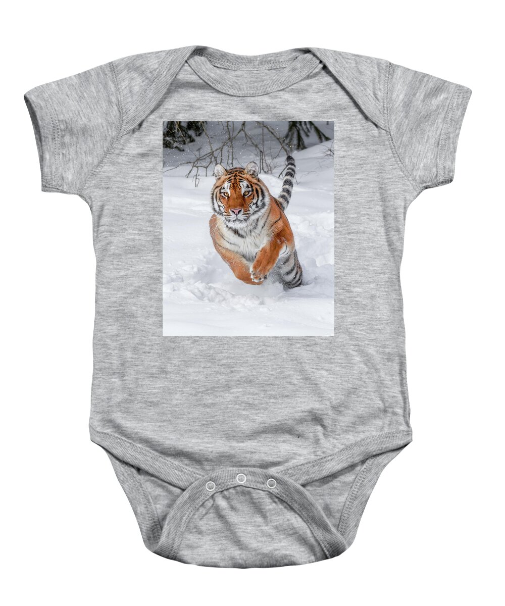 Winter Tiger Baby Onesie featuring the photograph Winter Tiger by Wes and Dotty Weber