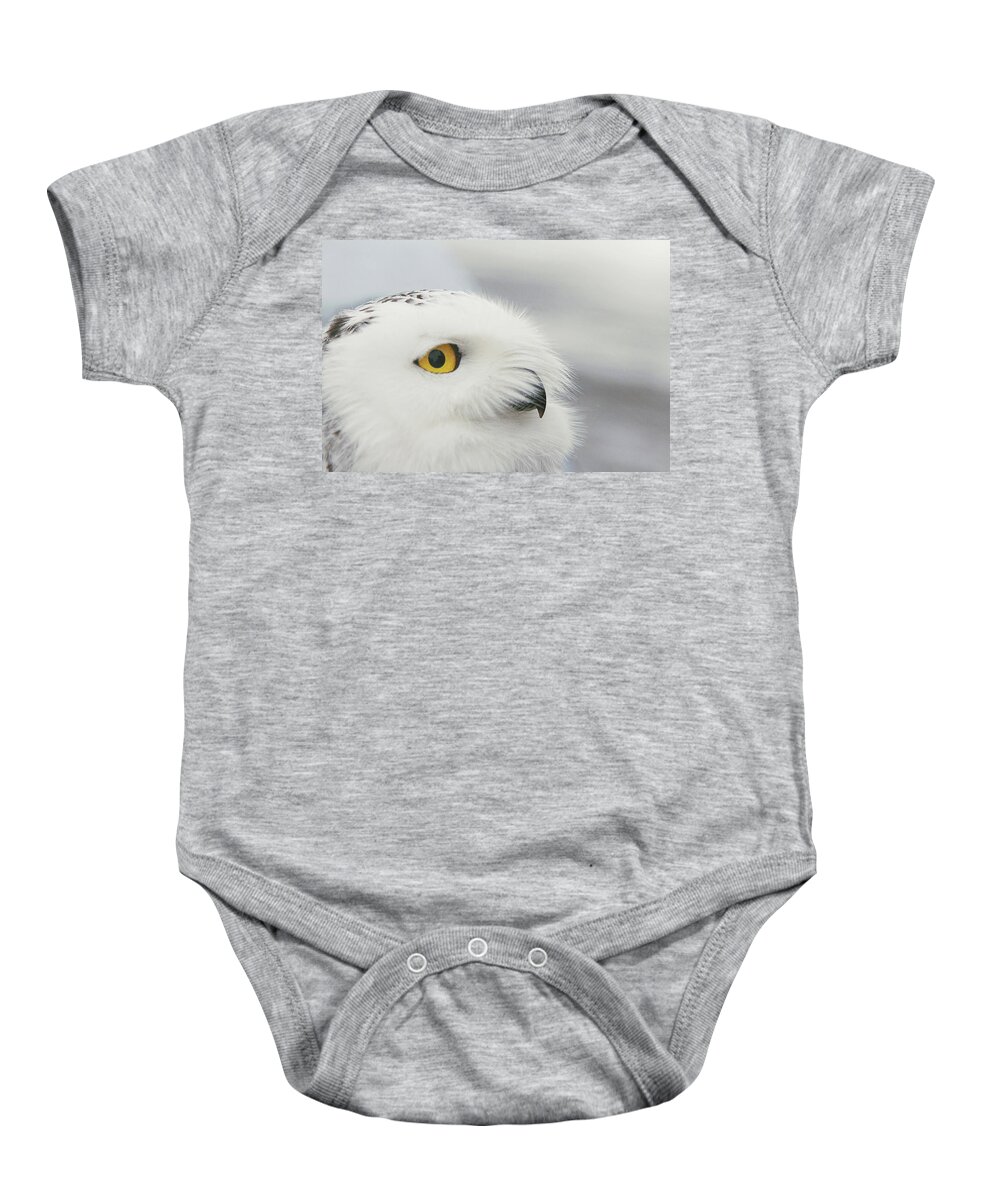 Wildlife Baby Onesie featuring the photograph Wise Guy by Carrie Ann Grippo-Pike