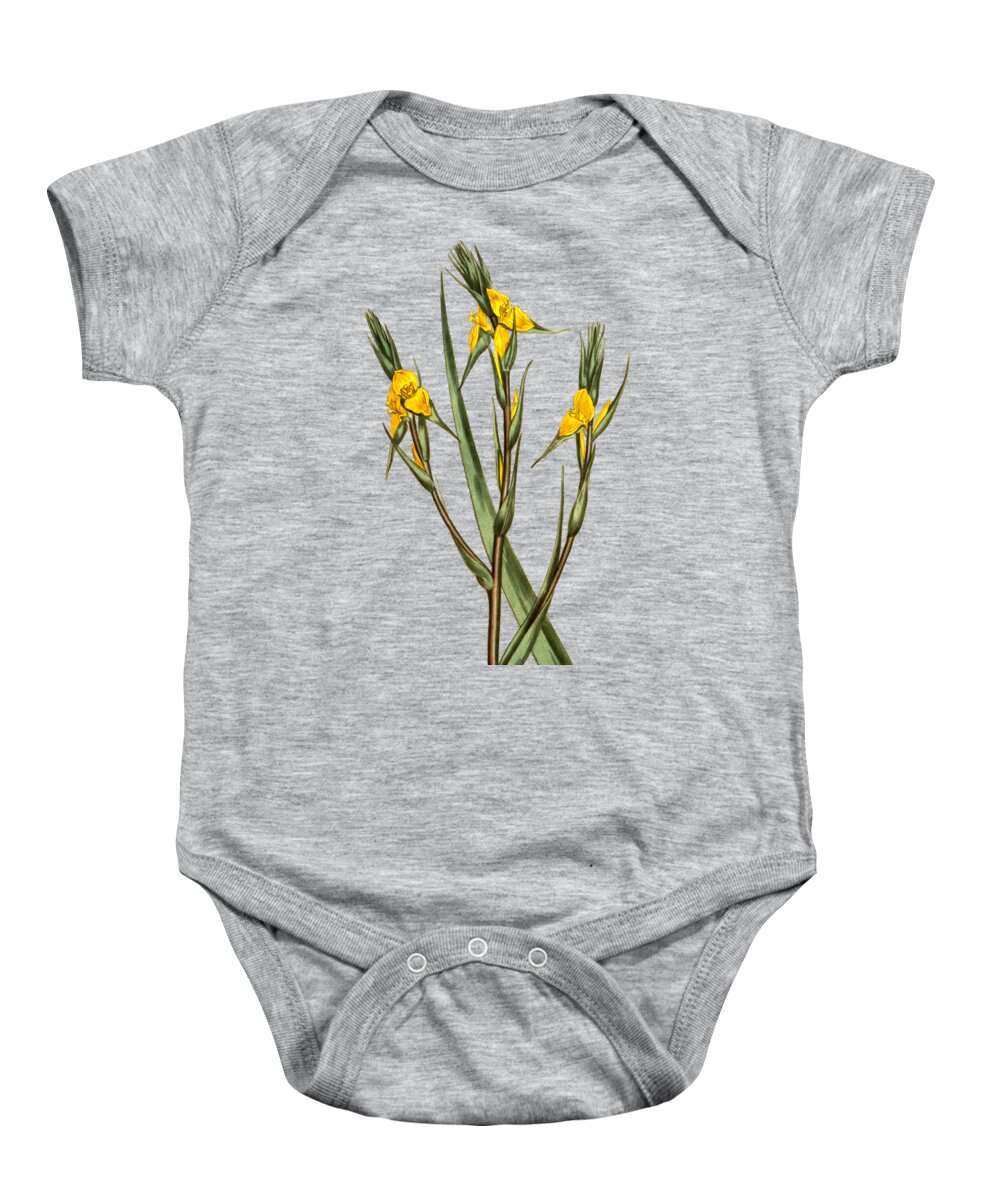Wooly Philidrum Baby Onesie featuring the mixed media Wooly Philidrum Flower on Misty Green With Dry Brush Effect by Movie Poster Prints