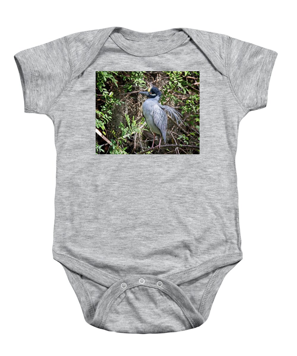  Baby Onesie featuring the photograph Yellow-crowned Night Heron during mating season by Ronald Lutz