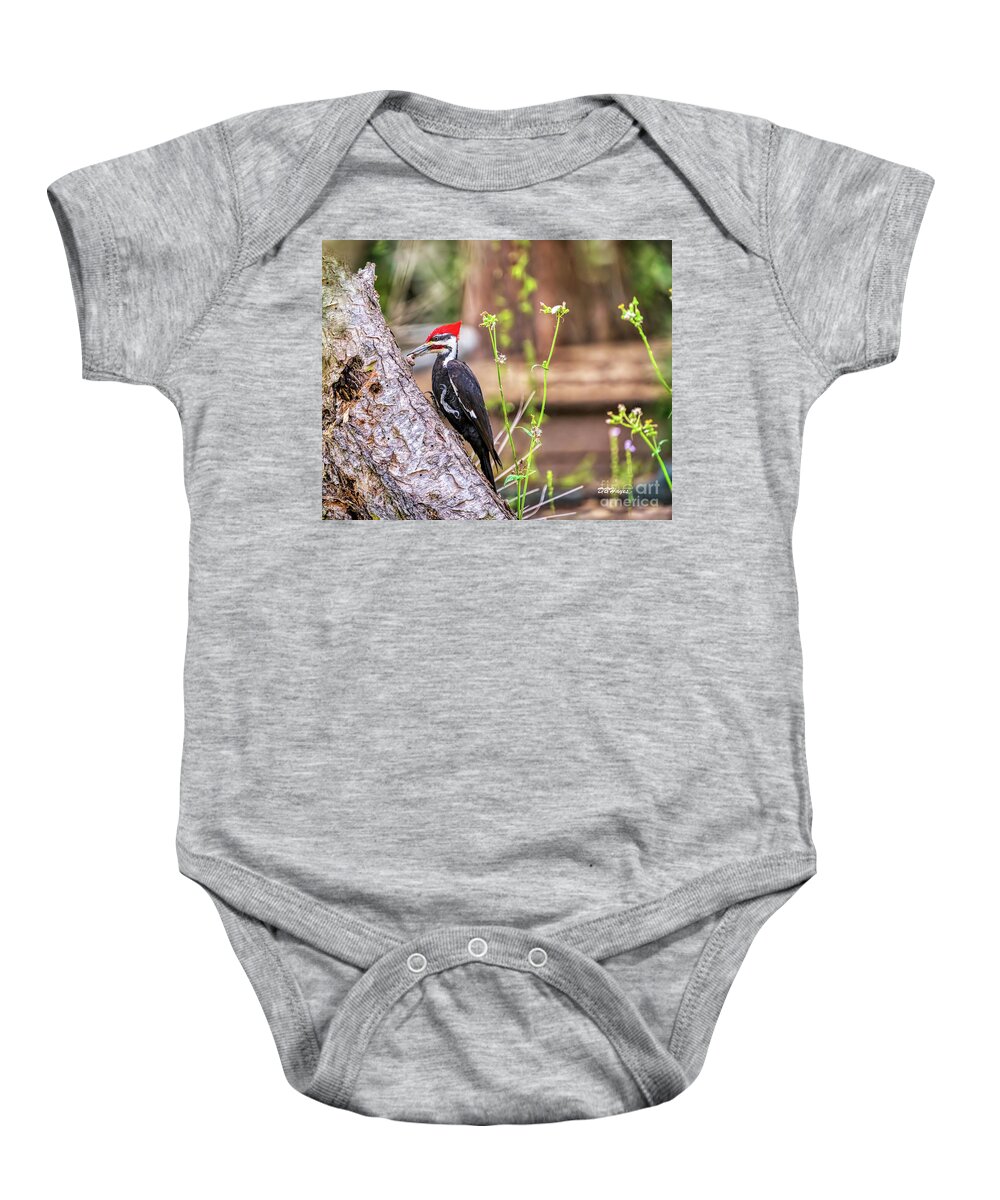 Birds Baby Onesie featuring the photograph Yummy by DB Hayes
