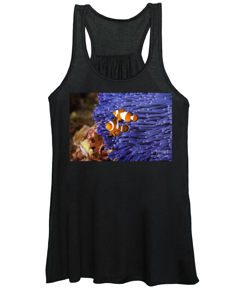  Anemone Women's Tank Top featuring the photograph Ocellaris Clownfish by Anthony Totah