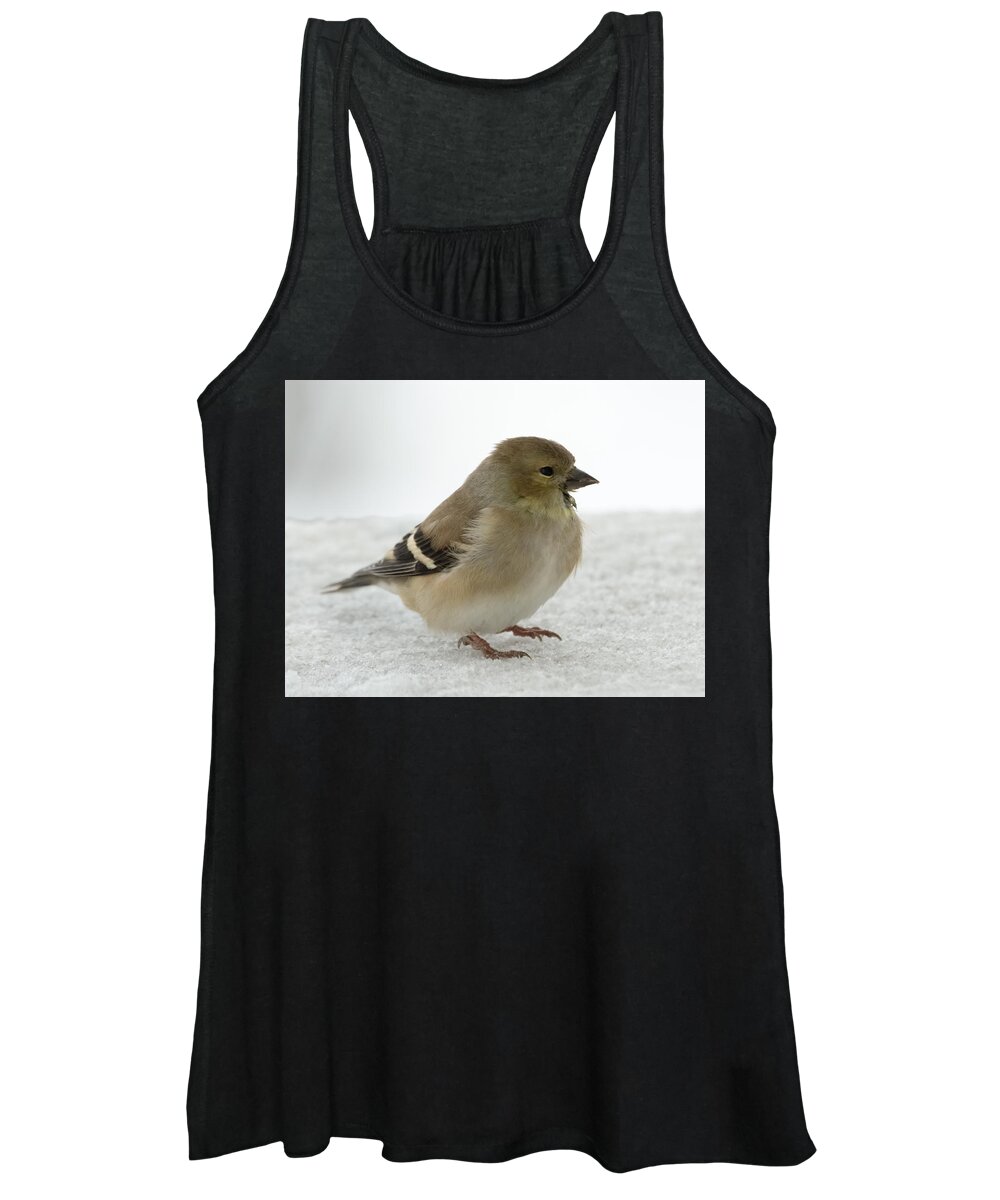 Jan Holden Women's Tank Top featuring the photograph American Goldfinch in the Snow #2 by Holden The Moment