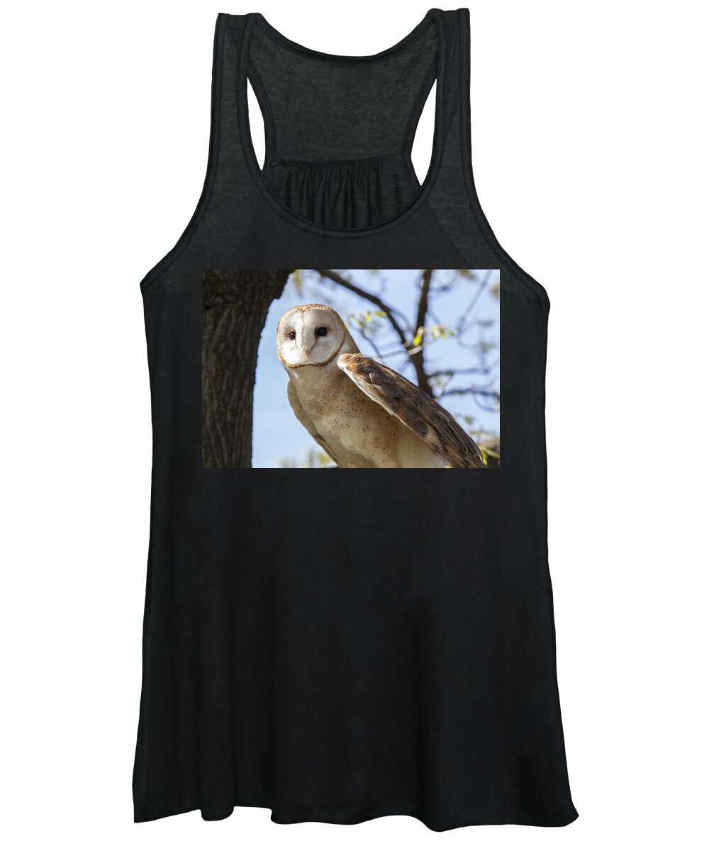 Alba Women's Tank Top featuring the photograph Barn Owl #1 by Jack R Perry