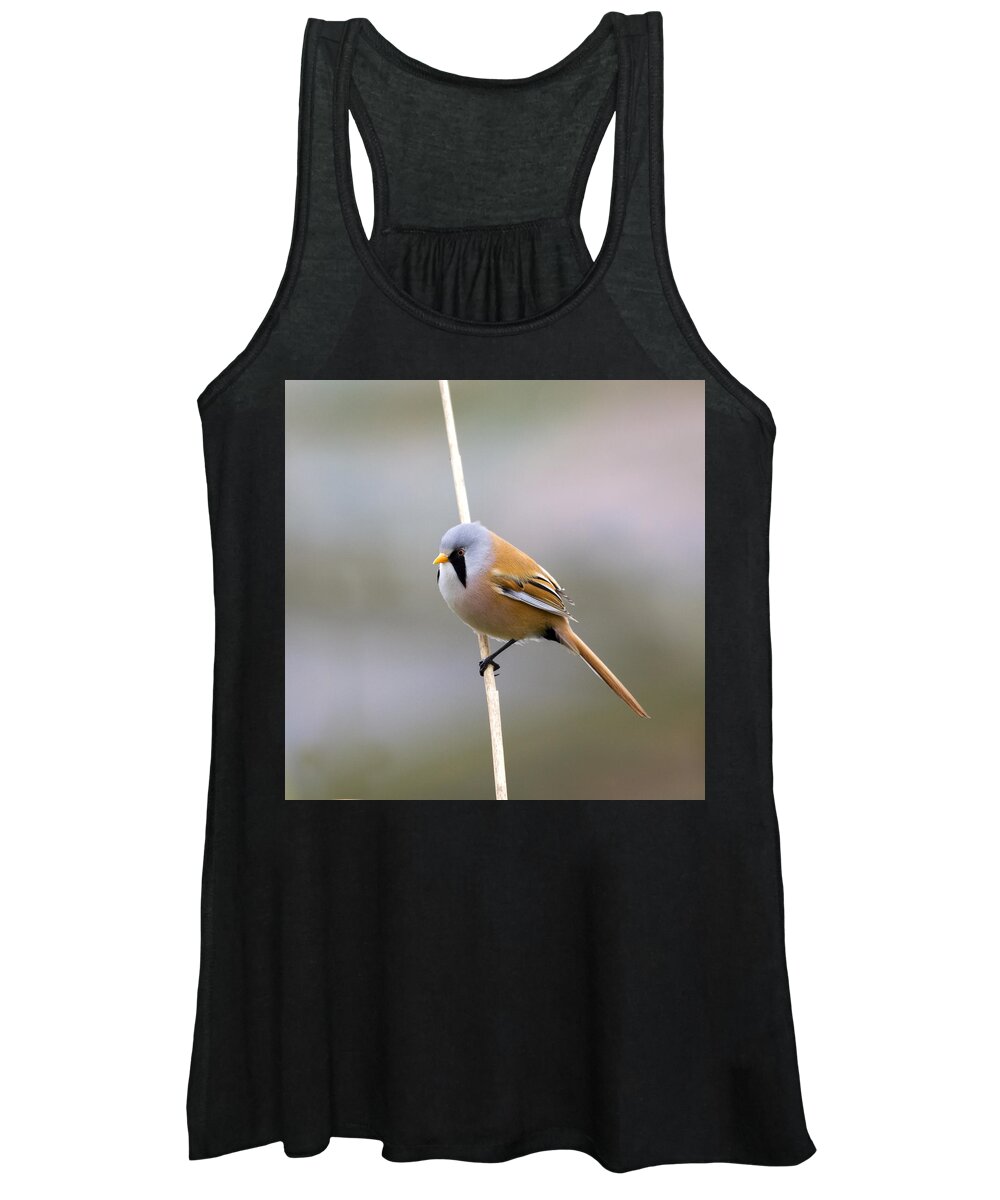 Bearded Tit Women's Tank Top featuring the photograph Bearded Tit #2 by Chris Smith