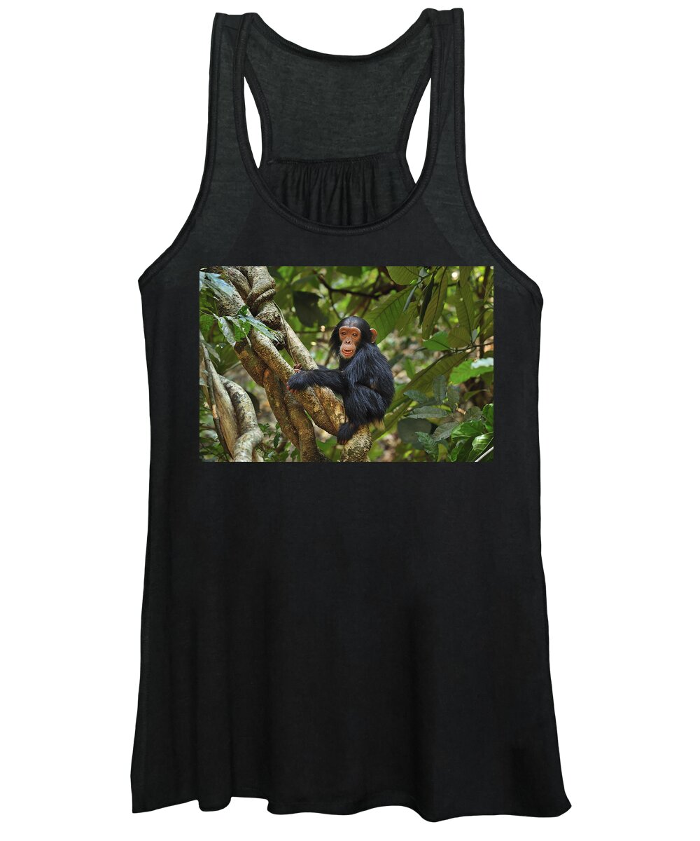 Thomas Marent Women's Tank Top featuring the photograph Chimpanzee Baby On Liana Gombe Stream #1 by Thomas Marent