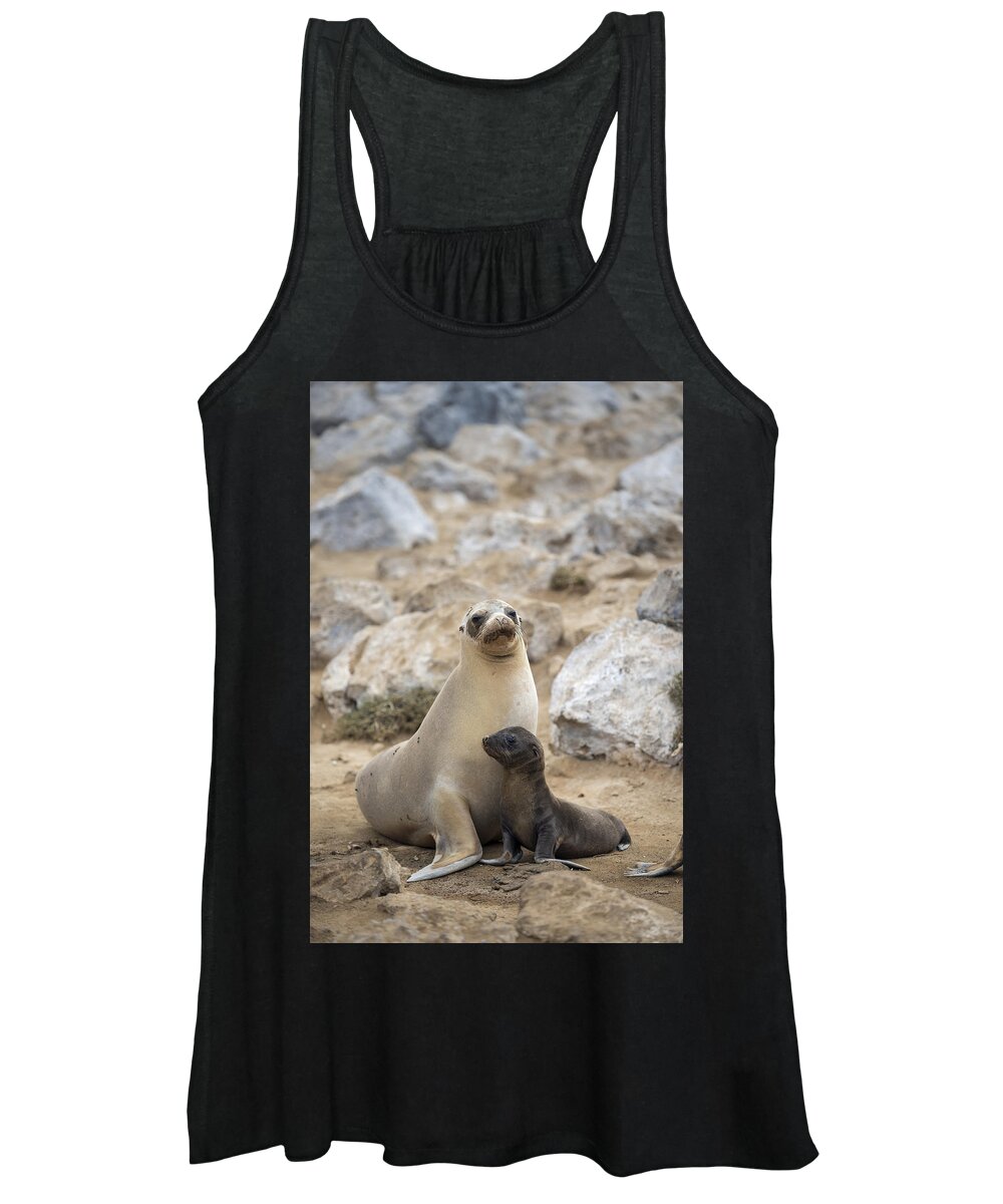 Tui De Roy Women's Tank Top featuring the photograph Galapagos Sea Lion And Pup Champion #1 by Tui De Roy