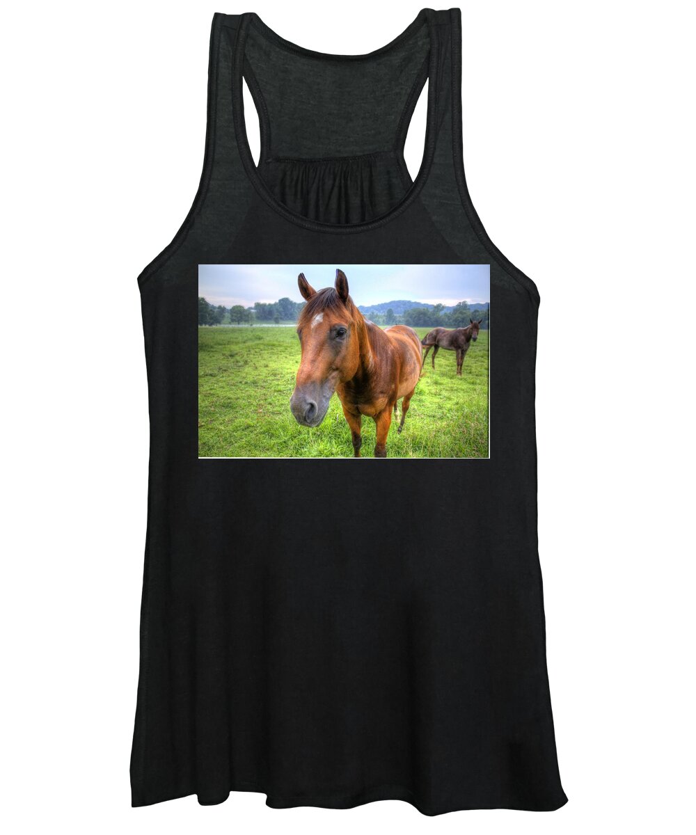 Horse Women's Tank Top featuring the photograph Horses in a Field #1 by Jonny D