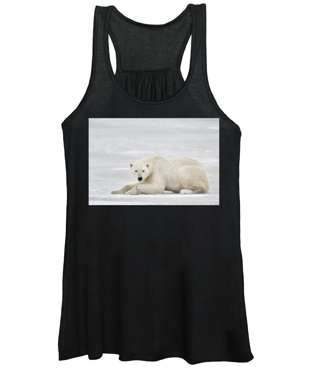 Nis Women's Tank Top featuring the photograph Polar Bear On Pack Ice Churchill #1 by Andre Gilden