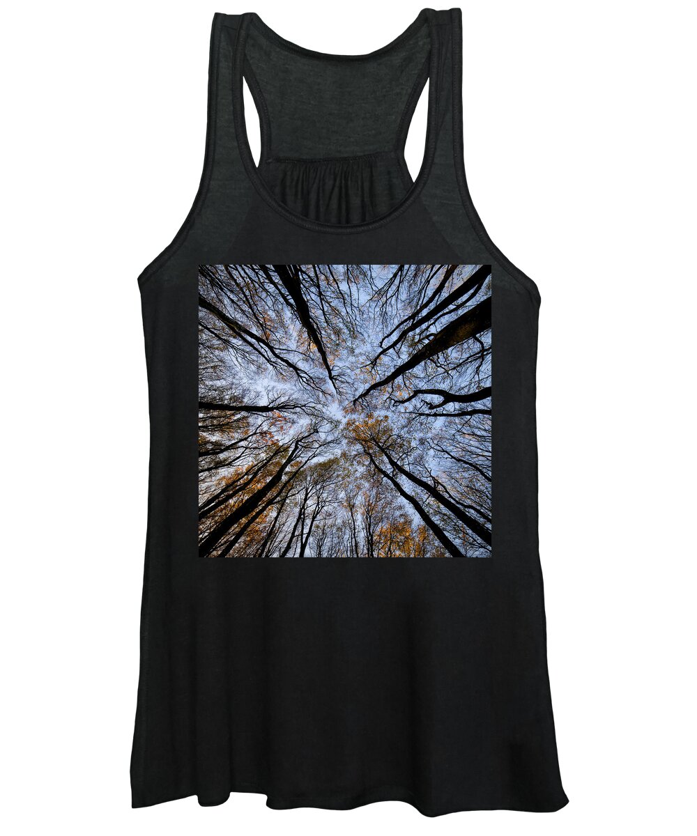 Forest Women's Tank Top featuring the photograph Tall trees by Mike Santis
