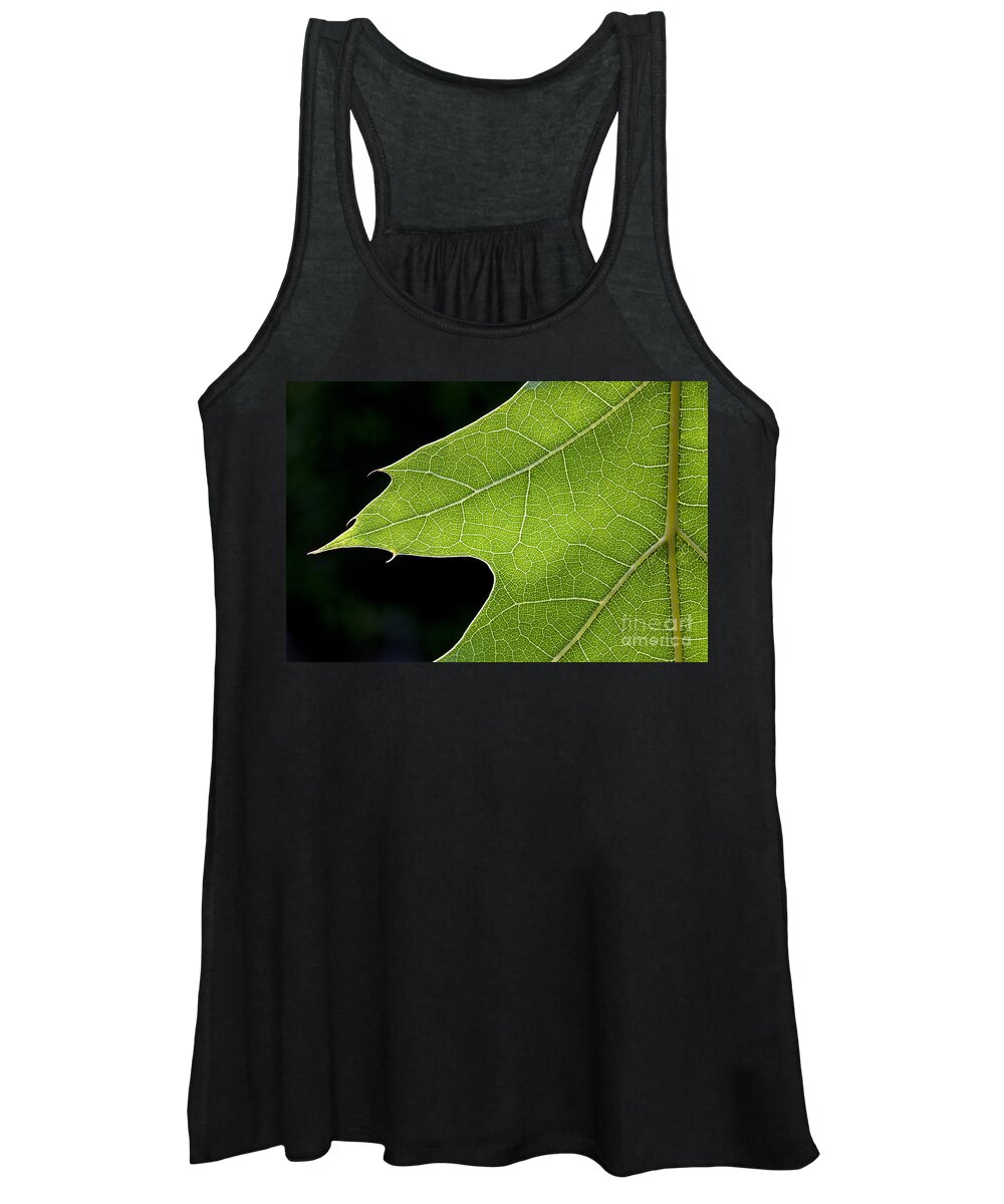 Northern Red Oak Women's Tank Top featuring the photograph 131114p195 by Arterra Picture Library