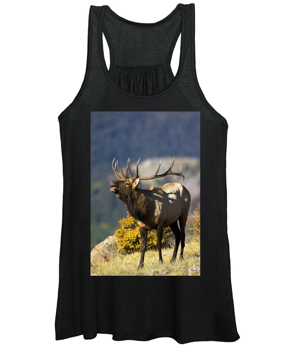 Autumn Women's Tank Top featuring the photograph Autumn Bull Elk Bugling #2 by Gary Langley