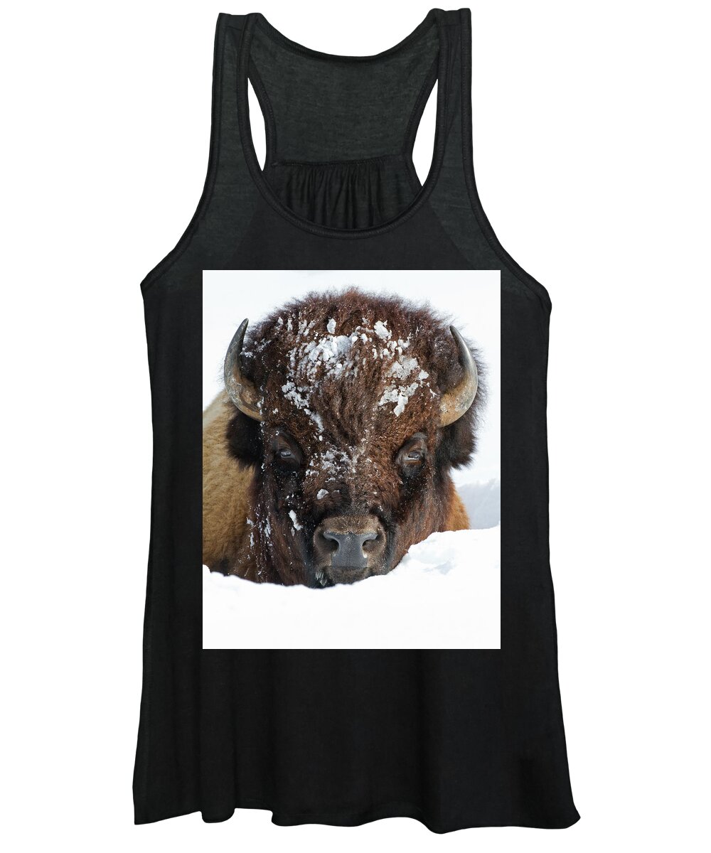 American Bison Women's Tank Top featuring the photograph Bison in Snow #2 by Max Waugh
