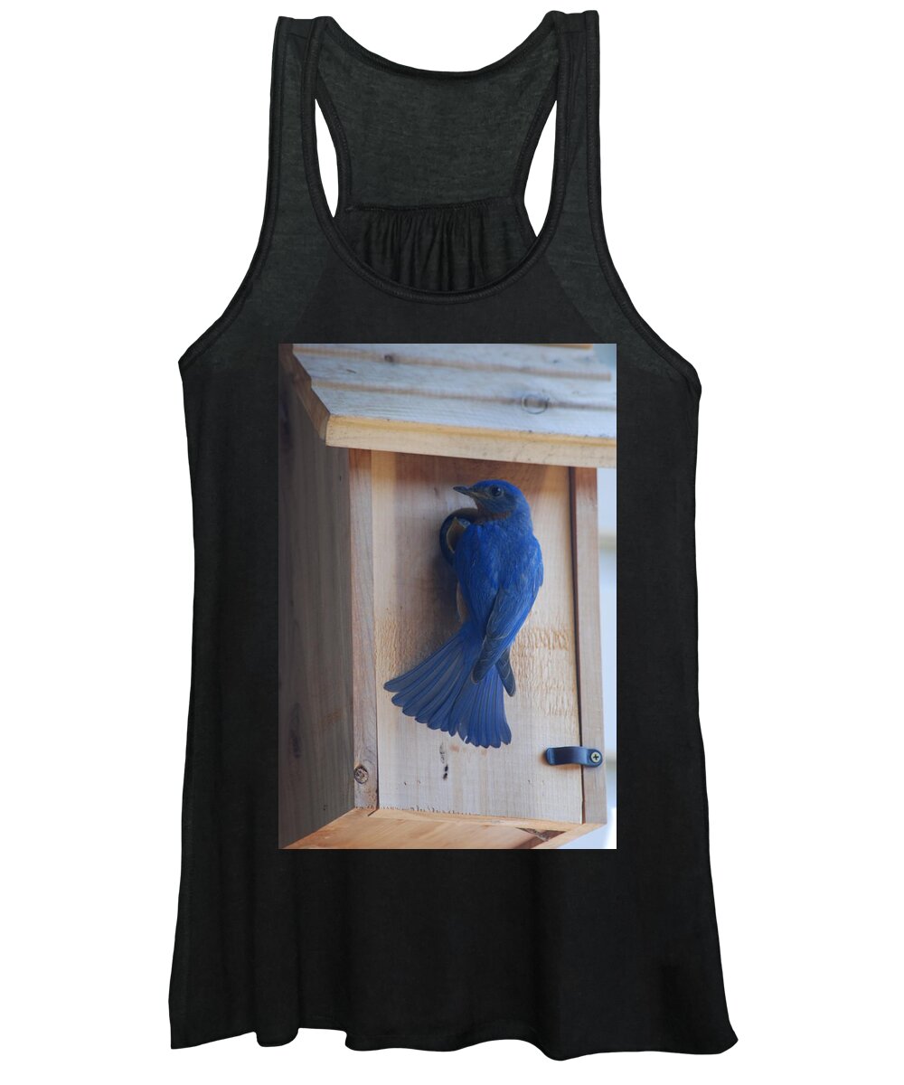 Bird Women's Tank Top featuring the photograph Bluebird of Happiness #2 by Kenny Glover