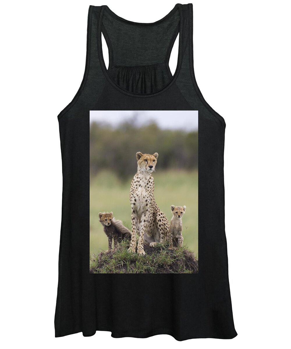 Mp Women's Tank Top featuring the photograph Cheetah Mother And Cubs Maasai Mara #2 by Suzi Eszterhas