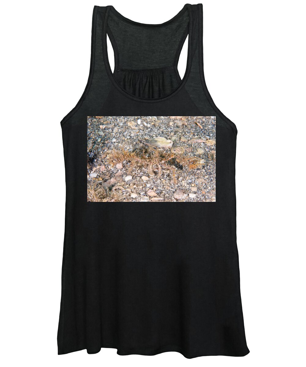 Decorator Crab Women's Tank Top featuring the photograph Decorator Crab #2 by Andrew J. Martinez