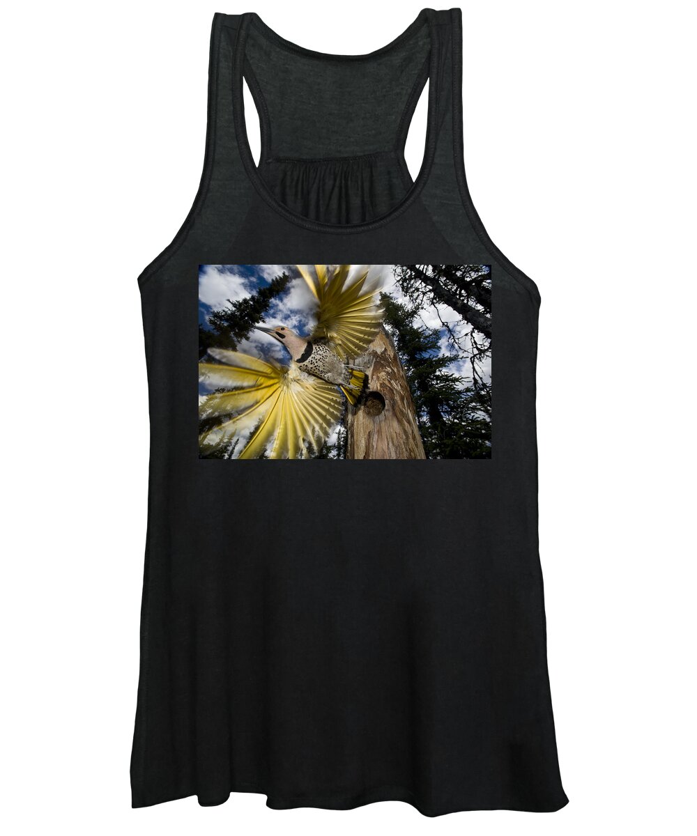 Michael Quinton Women's Tank Top featuring the photograph Northern Flicker Leaving Nest Cavity #2 by Michael Quinton