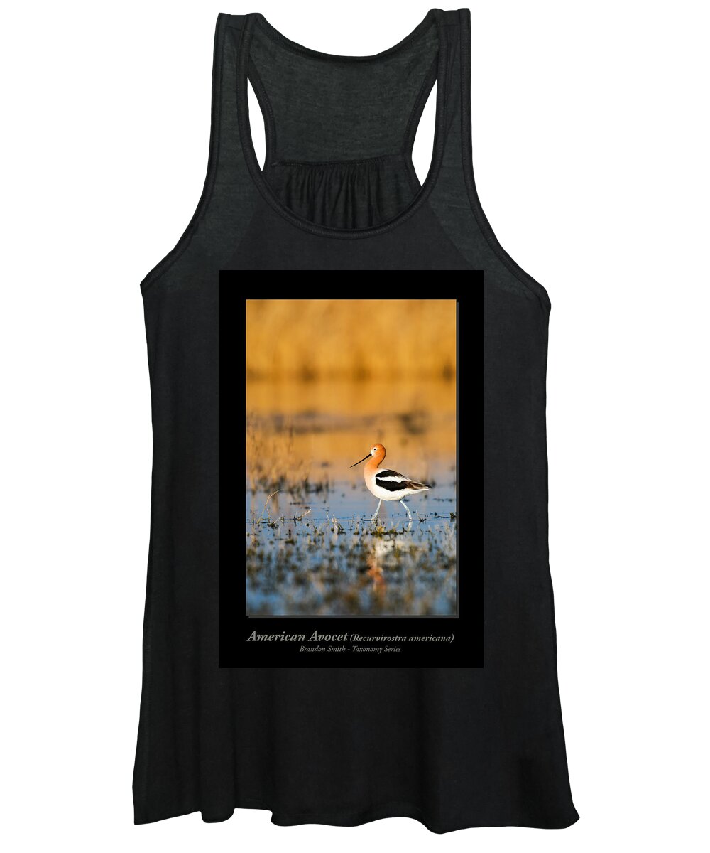 Alberta Women's Tank Top featuring the photograph American Avocet #3 by Brandon Smith