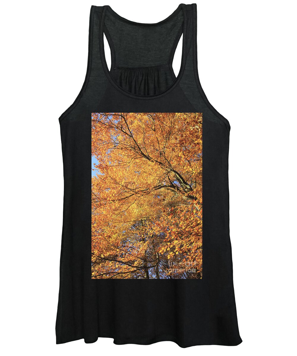 Autumn At Virginia Britain British English Landscape Countryside Uk United Kingdom Beech Trees Fall Golden Autumn Autumnal Orange Gold Leaves Leaf Tranquil Calm Virginia Water Surrey Sunny Sunshine Women's Tank Top featuring the photograph Autumn at Virginia Water #4 by Julia Gavin