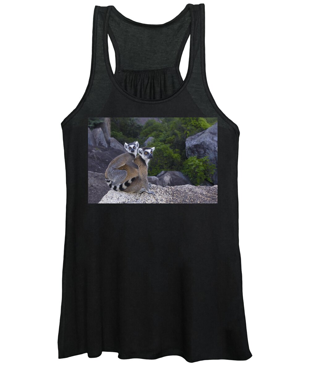 Feb0514 Women's Tank Top featuring the photograph Ring-tailed Lemur And Young Madagascar #3 by Pete Oxford