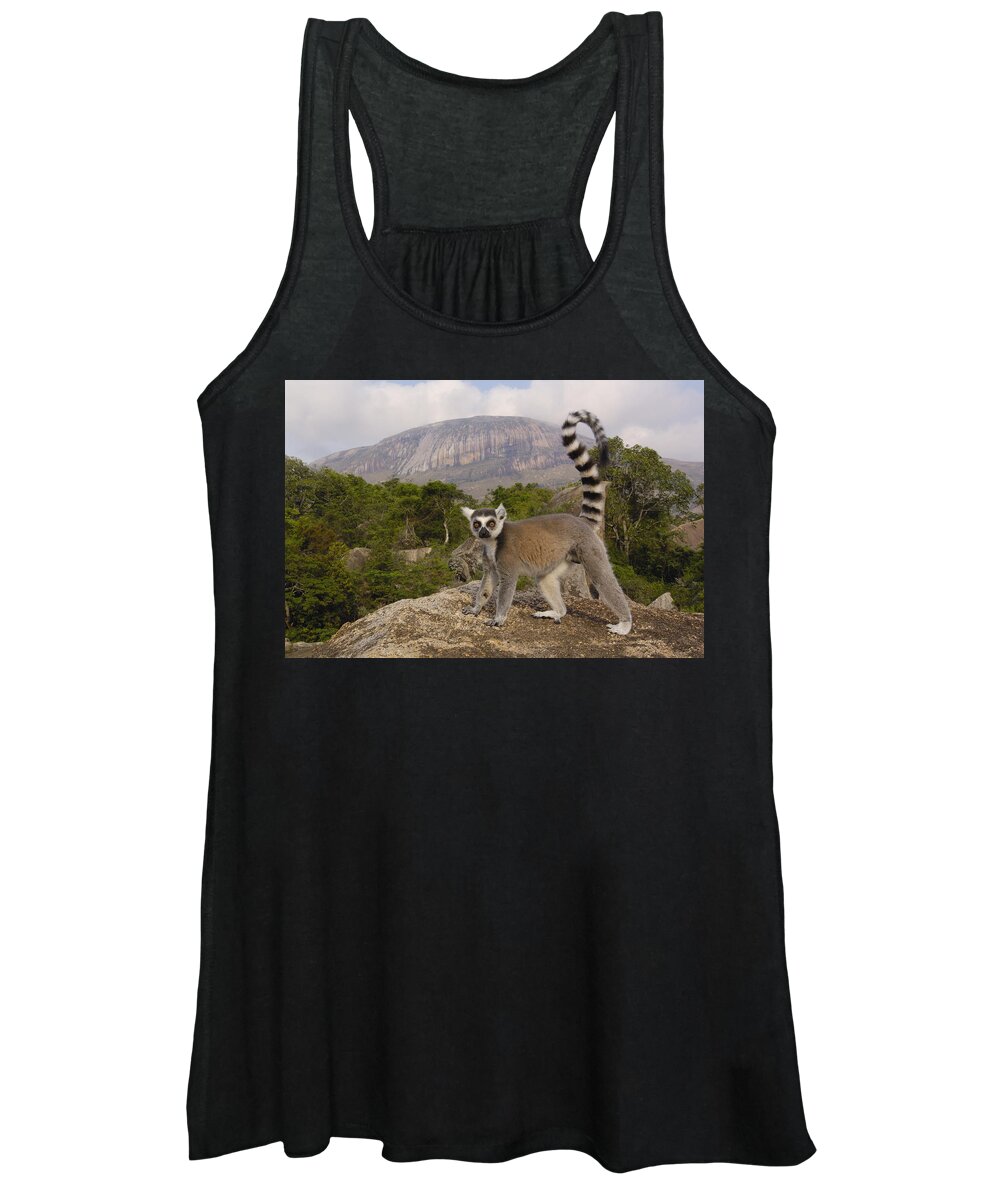 Feb0514 Women's Tank Top featuring the photograph Ring-tailed Lemur Madagascar #4 by Pete Oxford