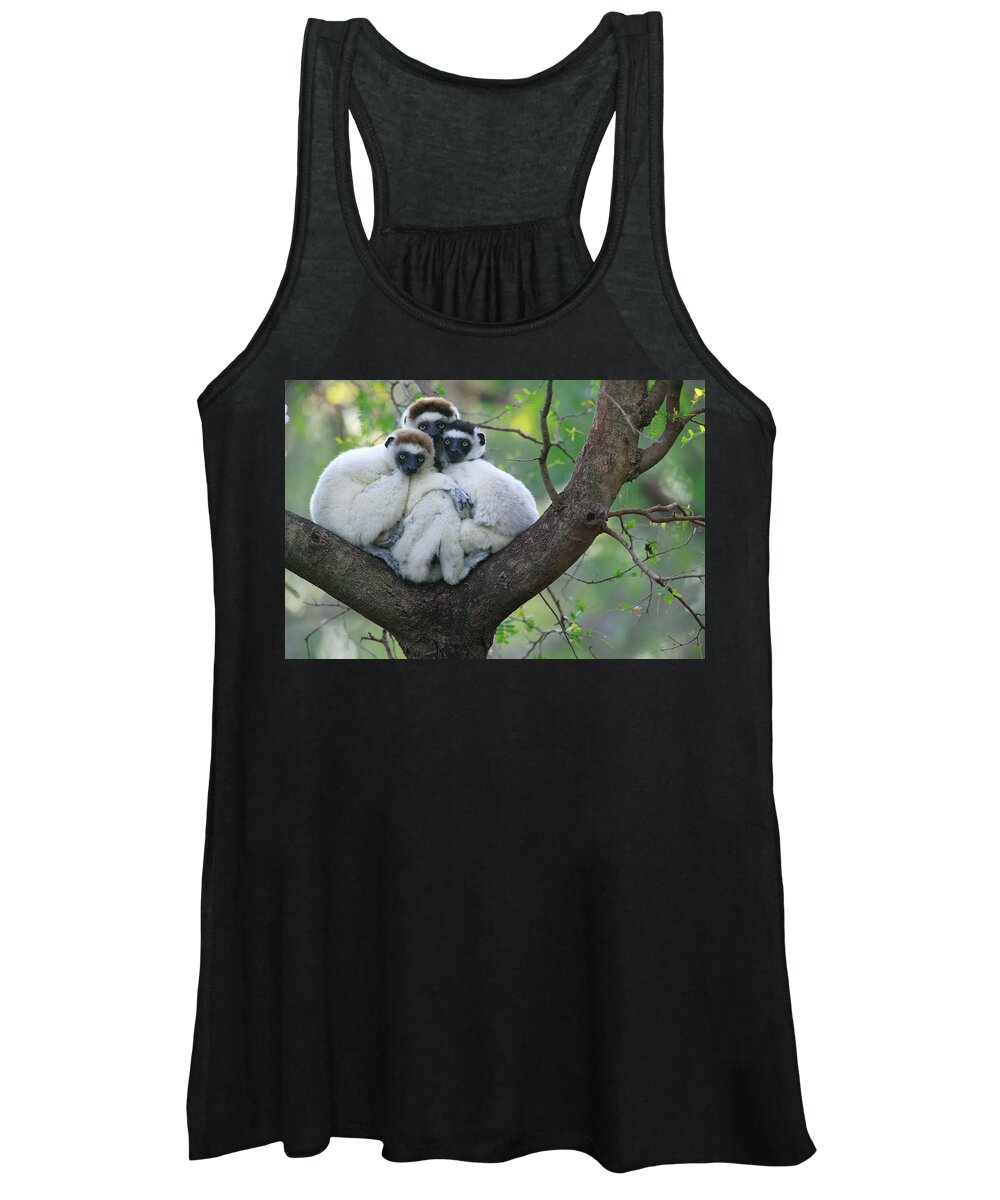 Jh Women's Tank Top featuring the photograph Verreauxs Sifakas Cuddling by Cyril Ruoso