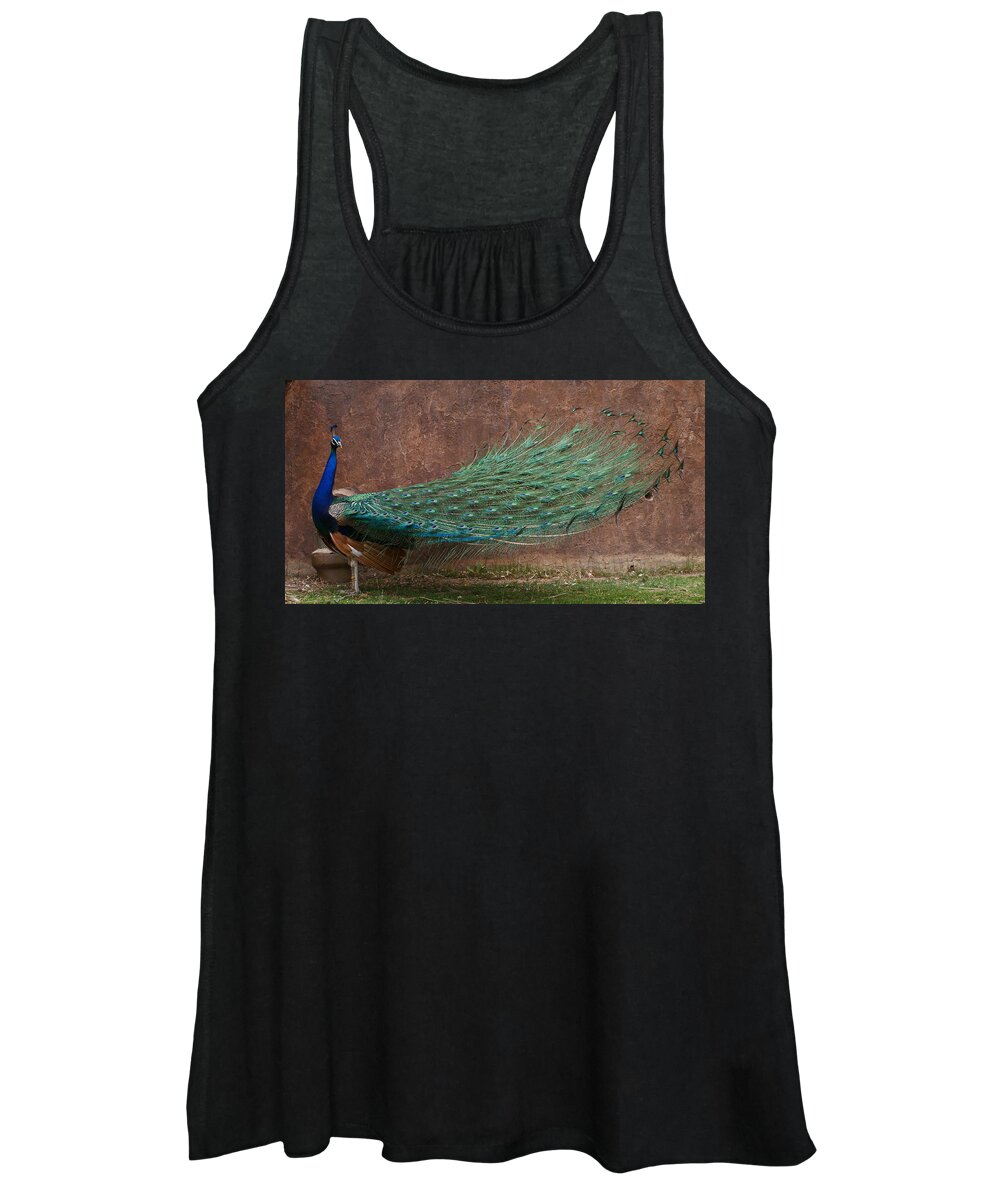 Bird Women's Tank Top featuring the photograph A Peacock by Ernest Echols