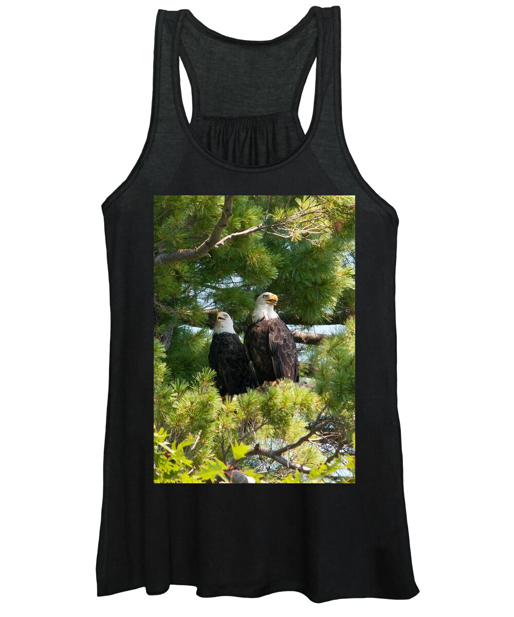 Bald Eagle Women's Tank Top featuring the photograph A Watchful Pair by Brenda Jacobs