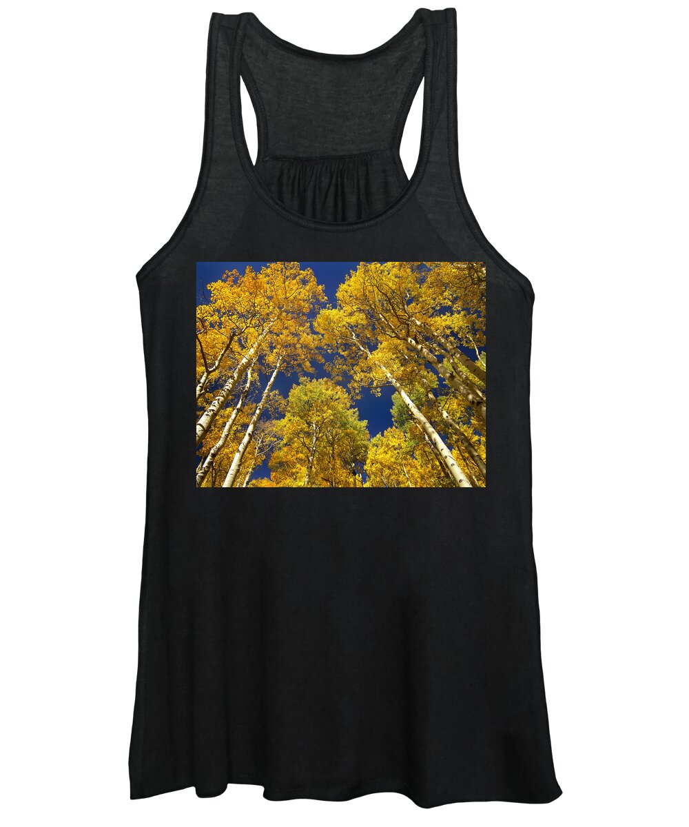 00175663 Women's Tank Top featuring the photograph Aspen Grove In Fall by Tim Fitzharris