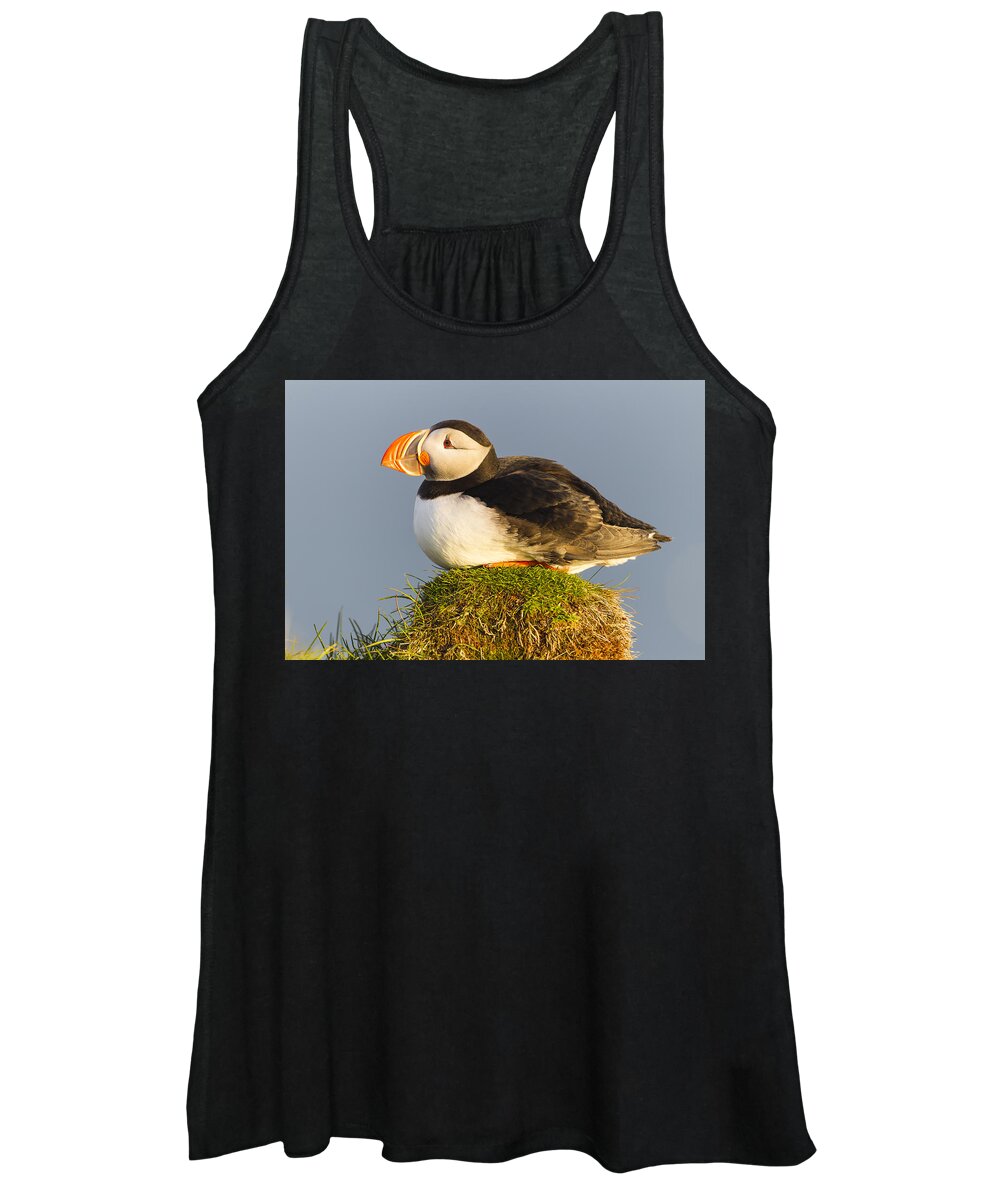 Nis Women's Tank Top featuring the photograph Atlantic Puffin Iceland by Peer von Wahl