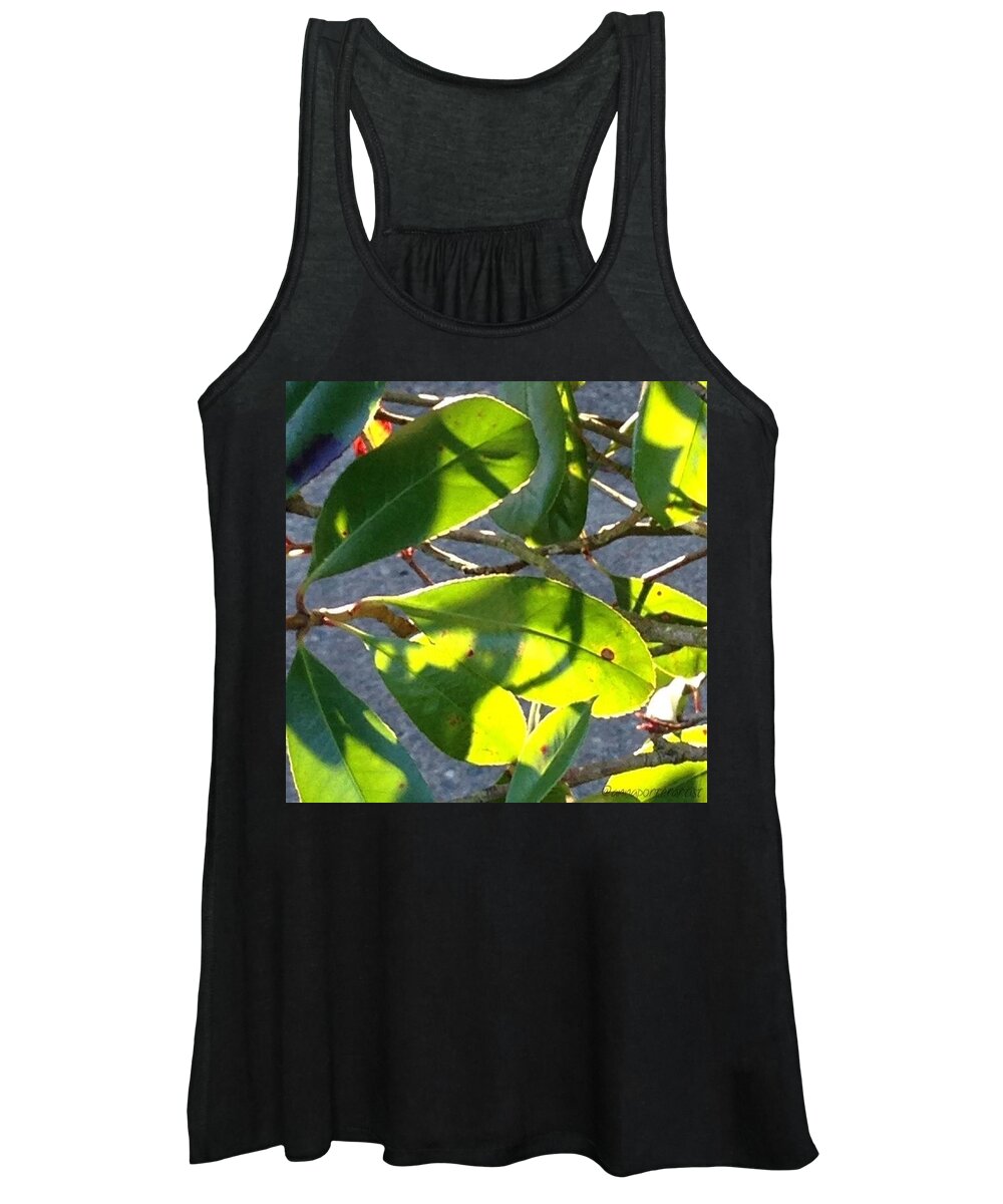 Global_nature Women's Tank Top featuring the photograph Backlit Leaves, Afternoon Light, Late by Anna Porter