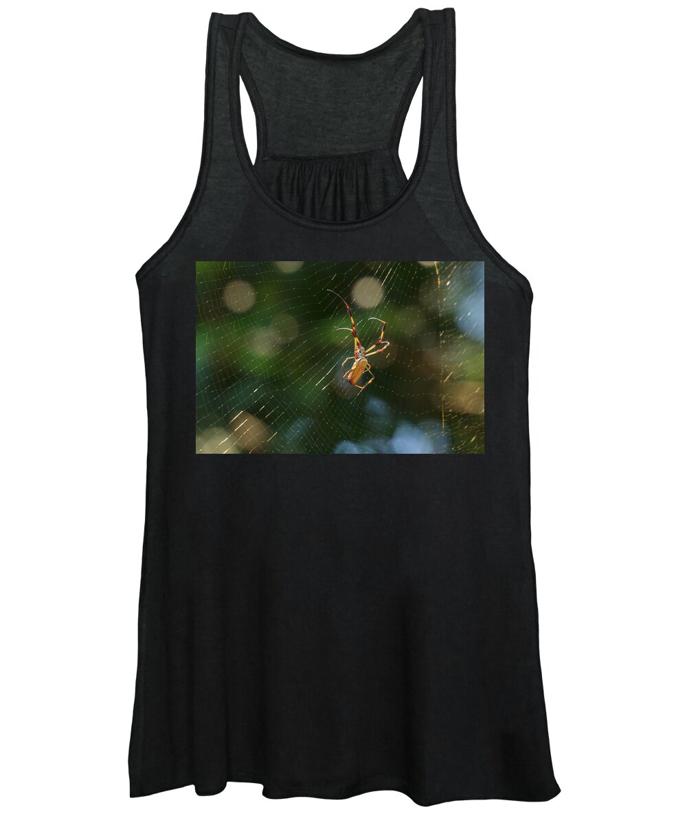 South Carolina Women's Tank Top featuring the photograph Banana Spider in Web by Patricia Schaefer